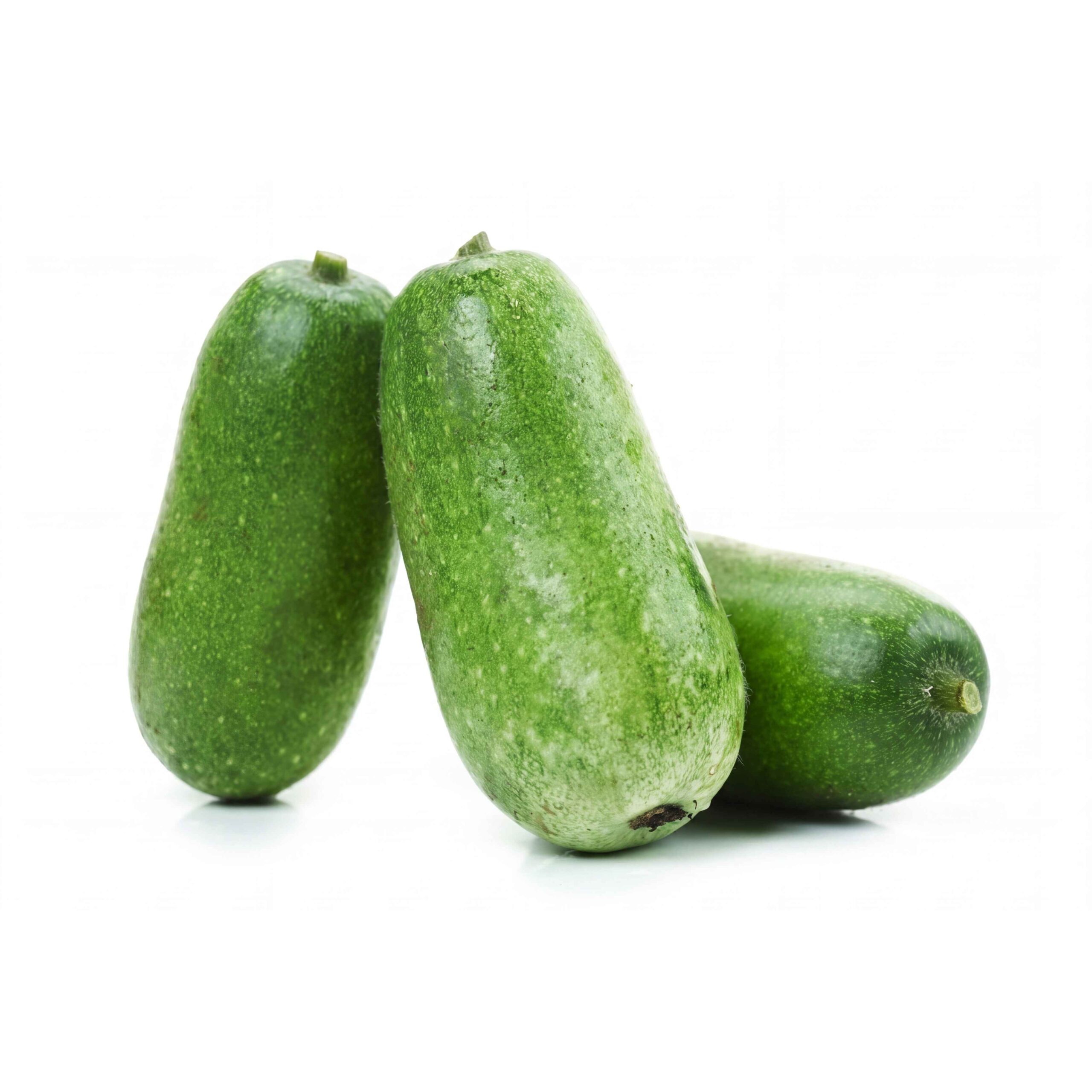 Bí đao