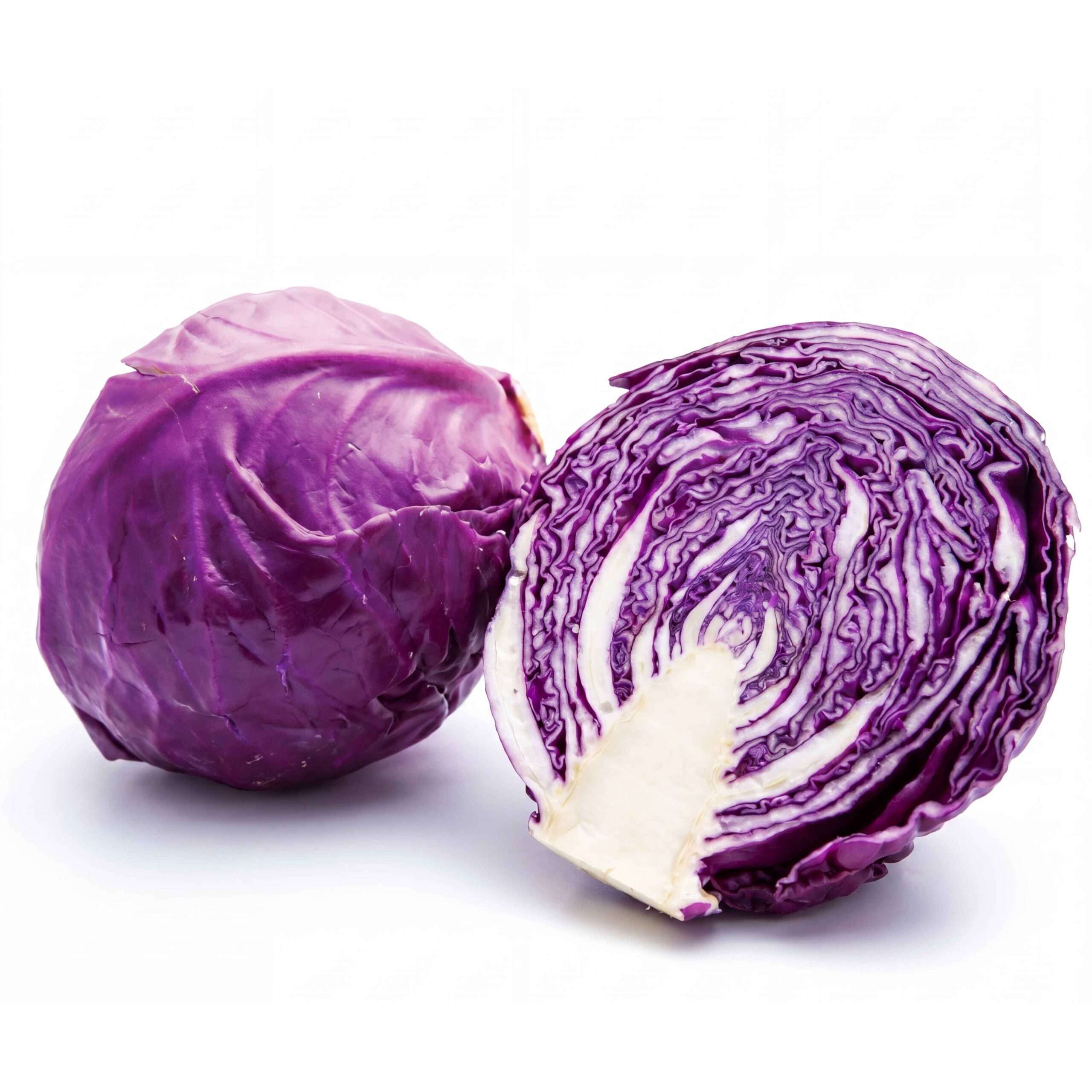 Cải bắp tím
