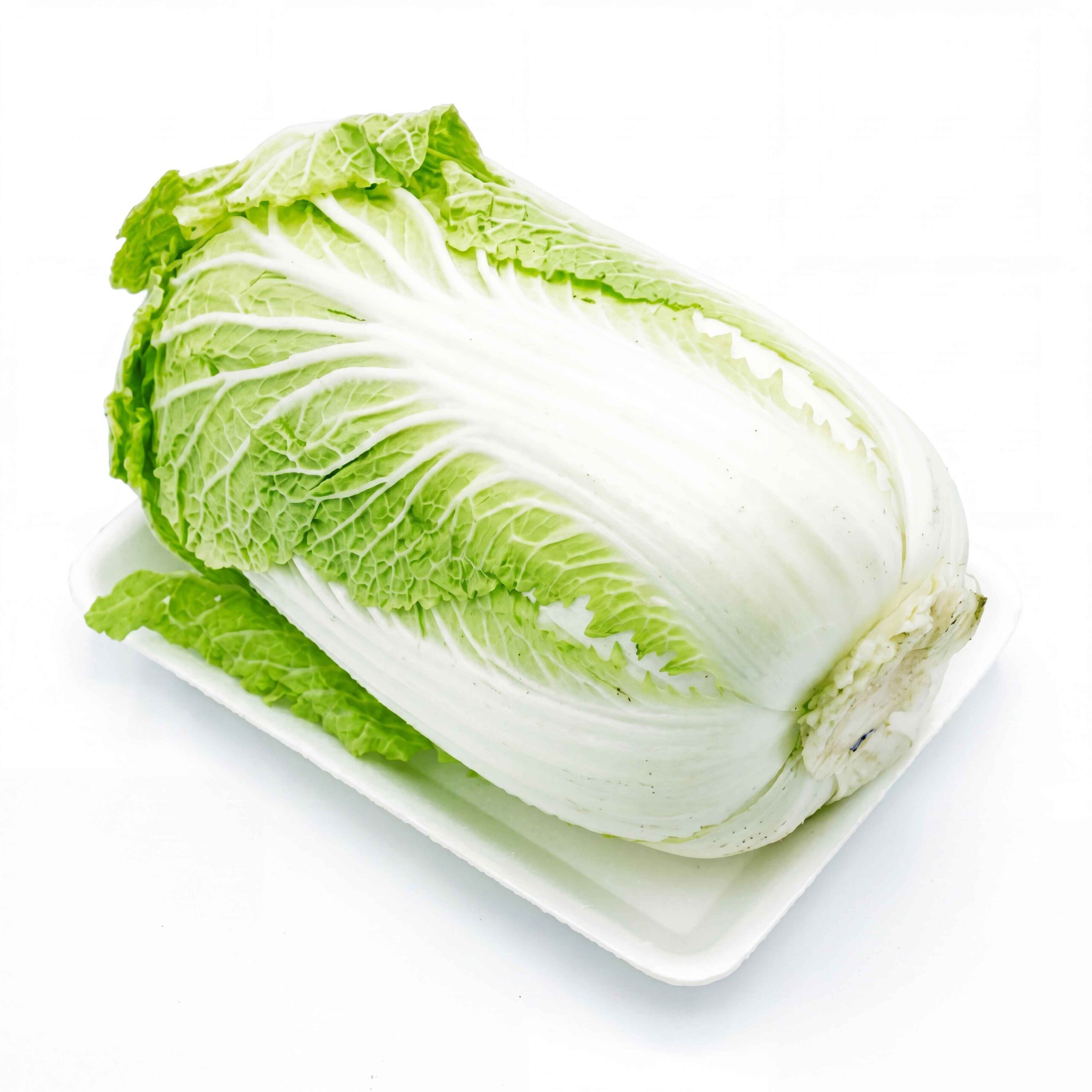 Cải thảo